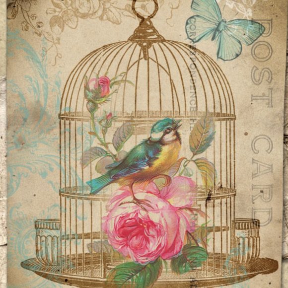 Reasonable Offers Accepted! Bundle and Save! - Picture 1 of 1